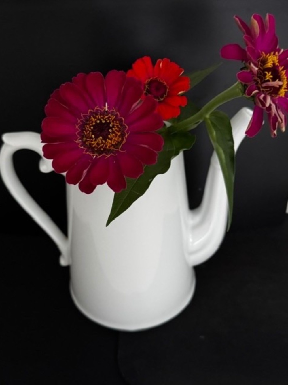 Vintage Apilco France White Porcelain Coffee  or TeaPot
